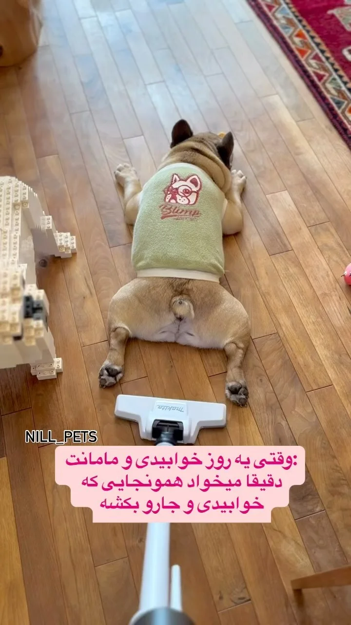 پت شاپ نیل