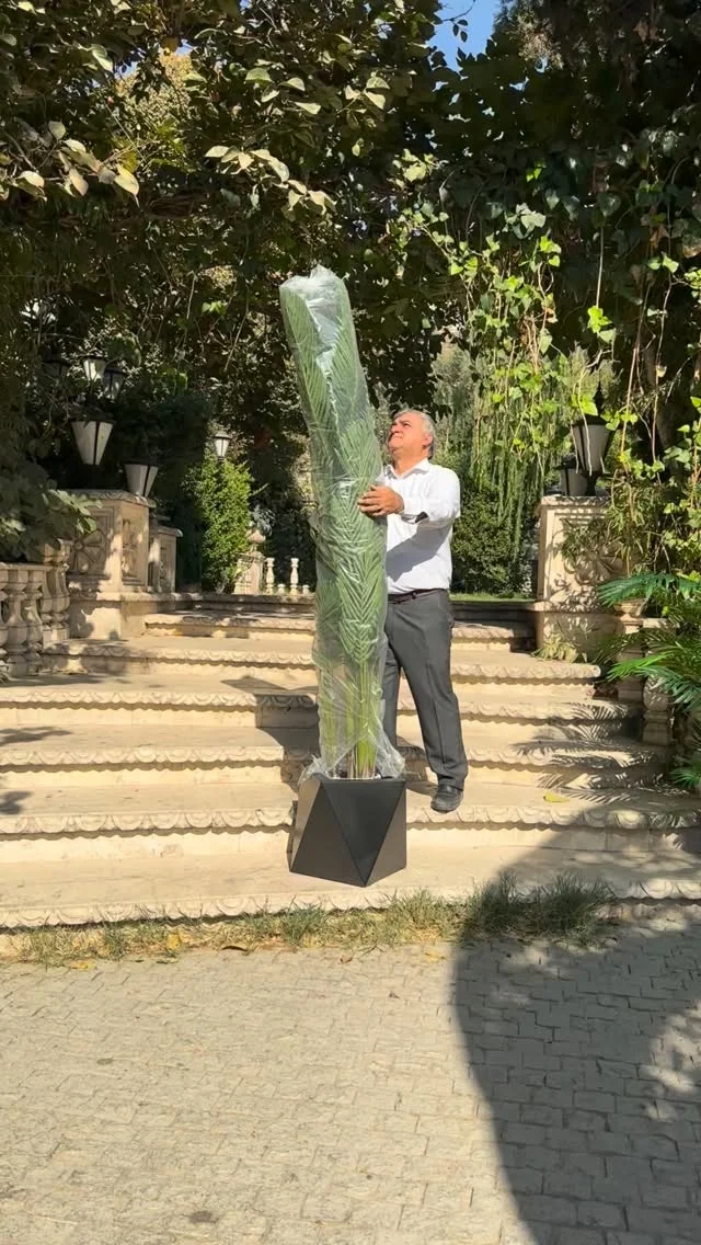 دکوراسیون داخلی دکورسازی