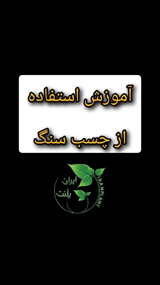 اکواریوم گیاهی ایران پلنت