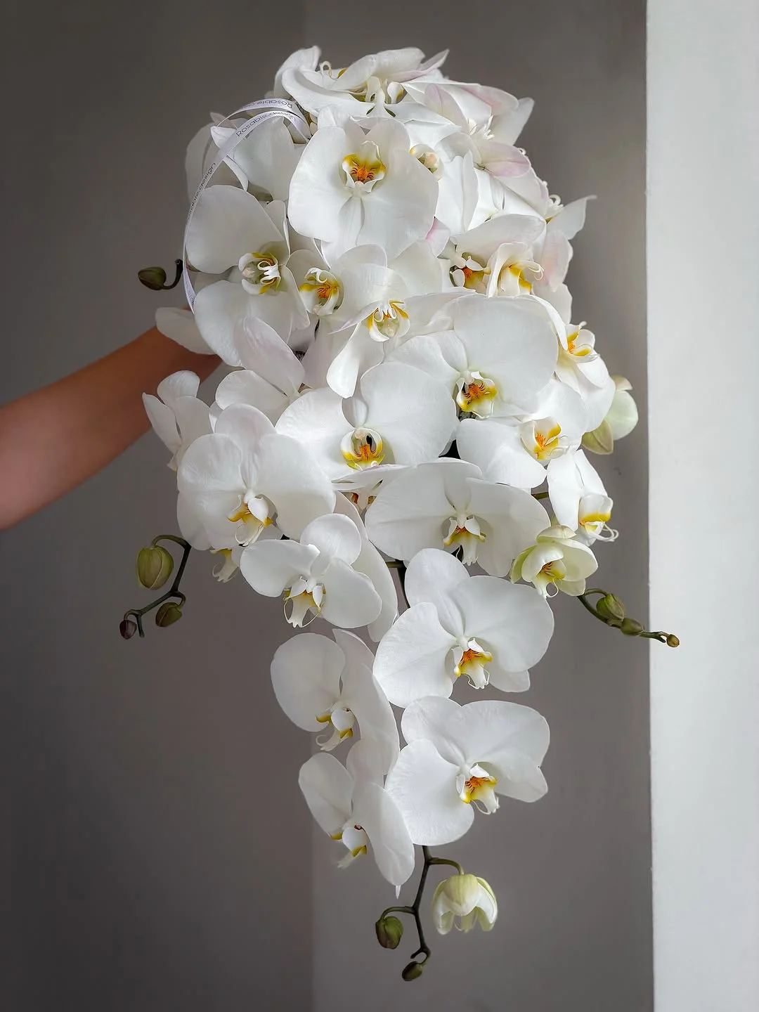 گالری گل رزابل