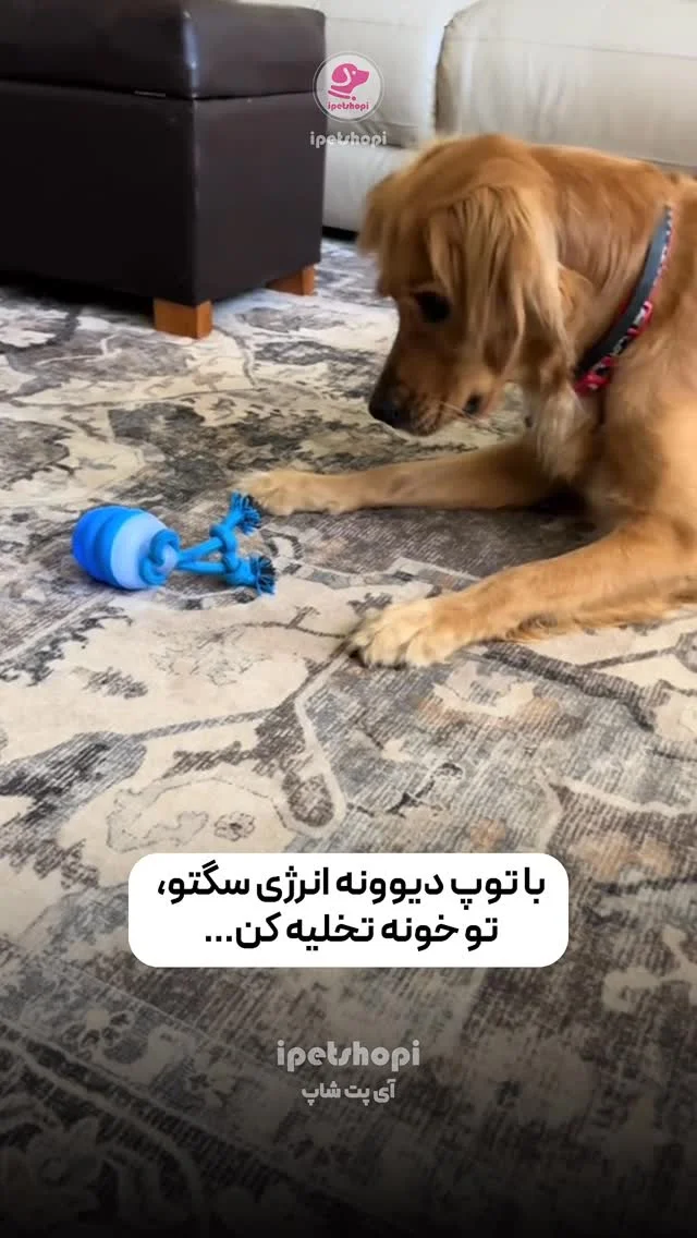 ای پت شاپ