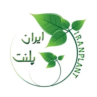 اکواریوم گیاهی ایران پلنت