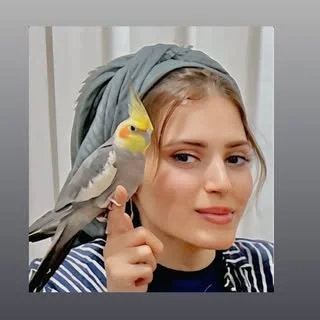 ریکو