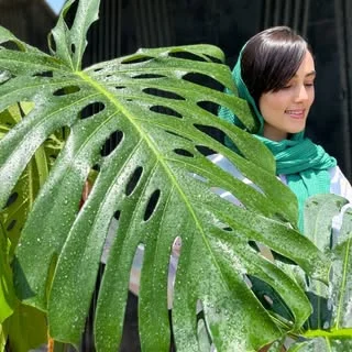 گیاهان اپارتمانی و بیرونی🌱