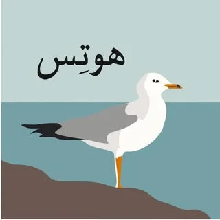 طلا و نقره هوتس