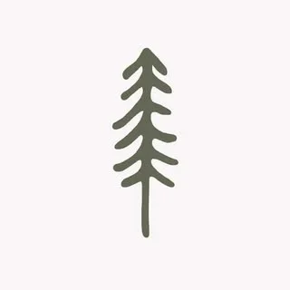 شیزن/کالای خواب
