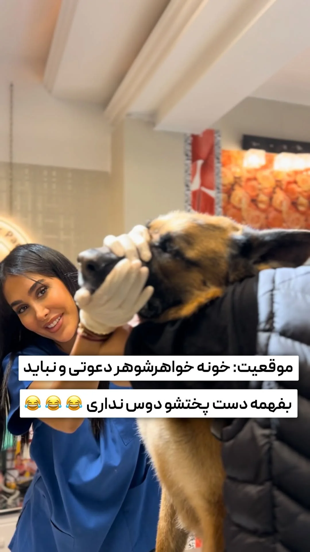 کلینیک دامپزشکی پنجه